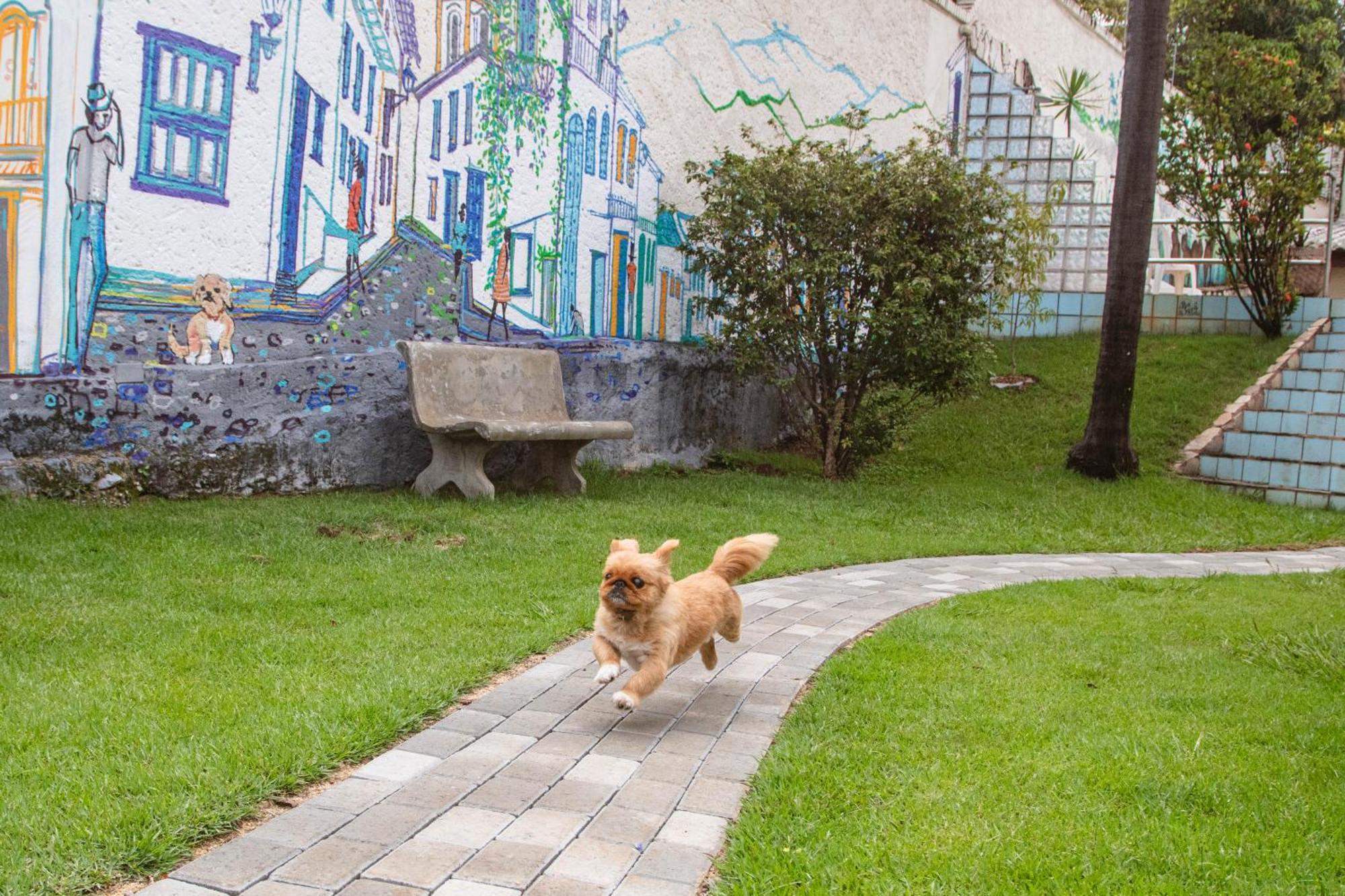 Woods Hostel Belo Horizonte Dış mekan fotoğraf
